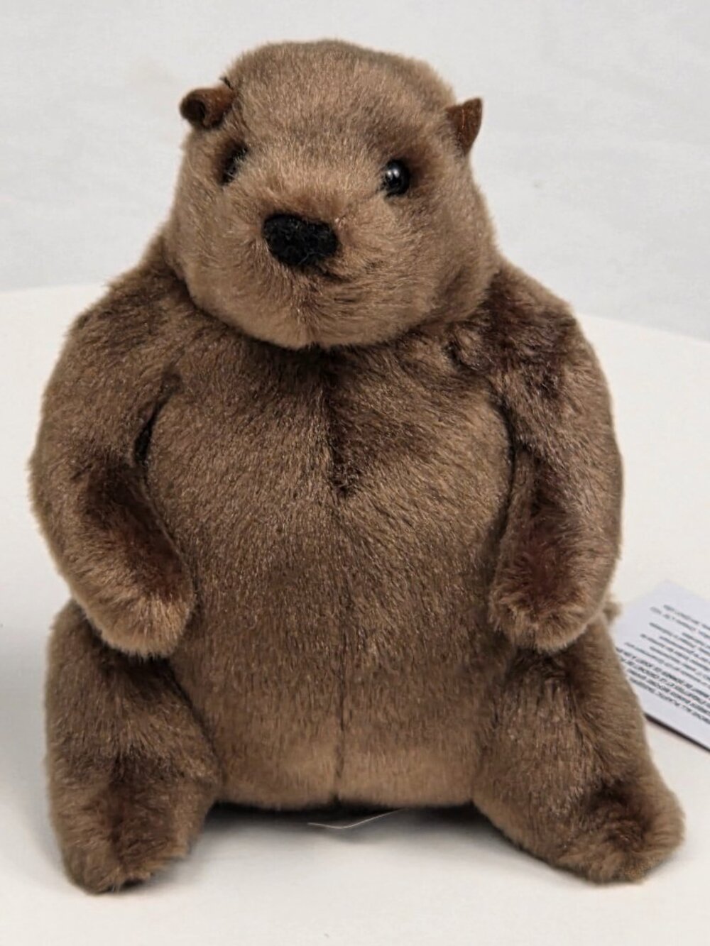 Mr. G Douglas 6" Groundhog plush stuffed animal woodchuck Cuddle Toy
